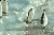 Image 01