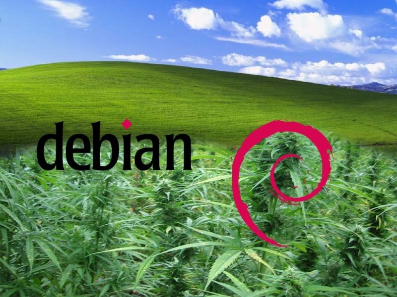 The Debian Way - KDE Store