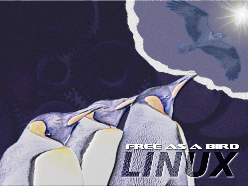 Linux Free as a Bird - KDE Store