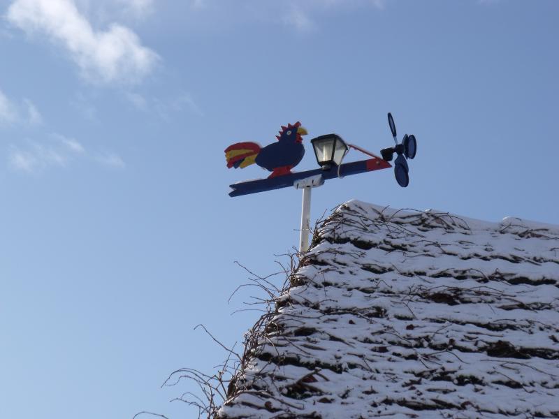 Freaky Weathervane strange Weathervane - KDE Store