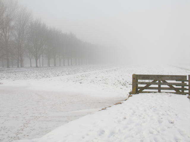 mist and snow-2 - KDE Store