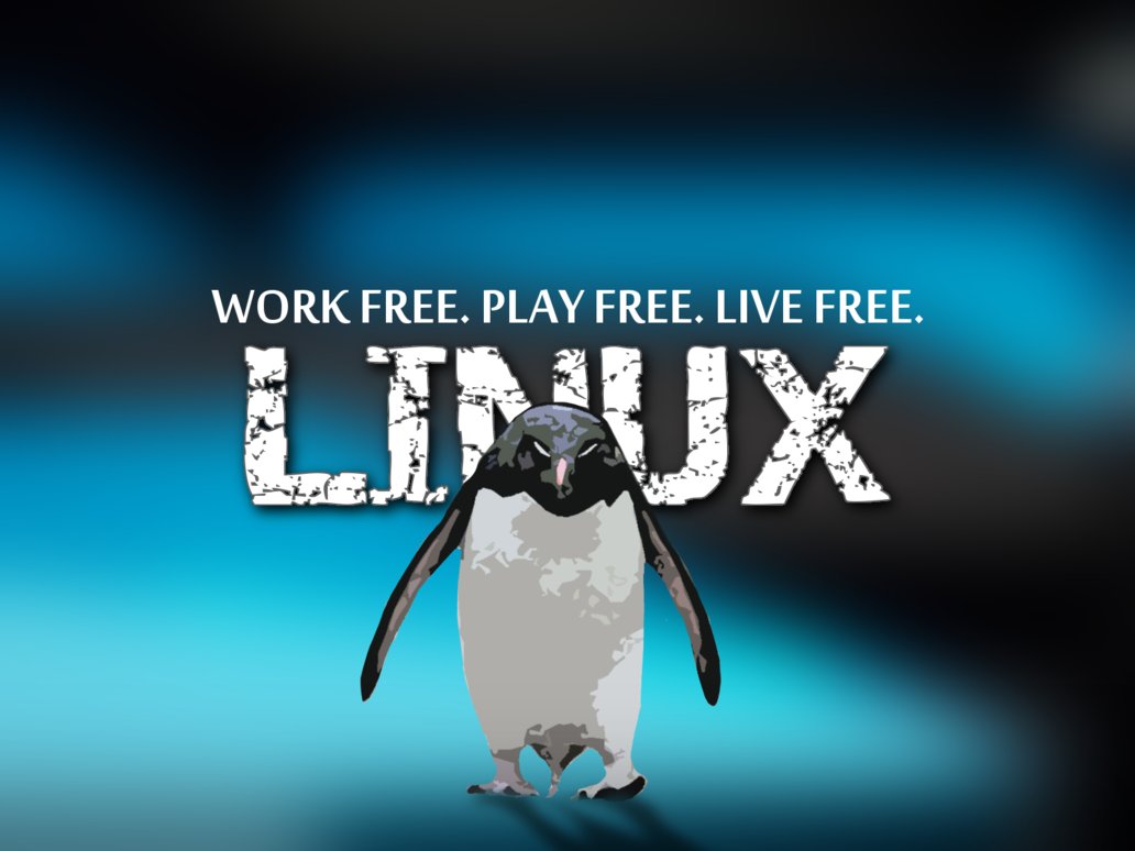 Live Free Os Wallpaper Linux Apps Com