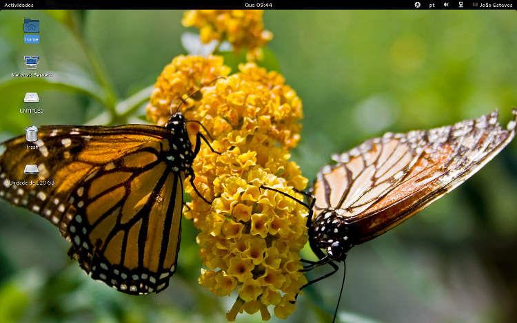 Butterflies - KDE Store