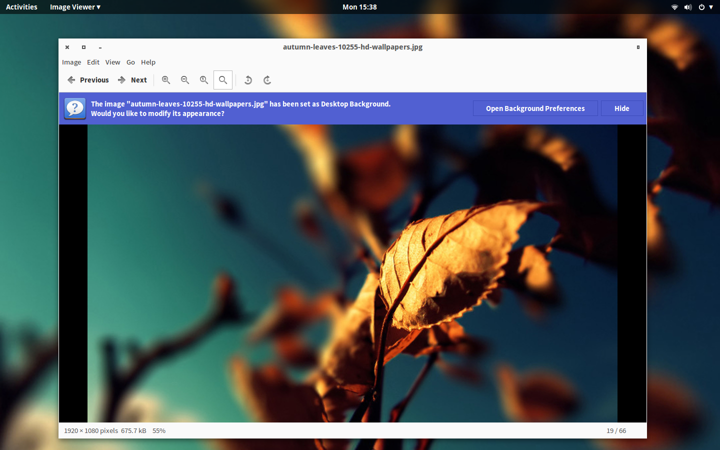 Iris Light - KDE Store
