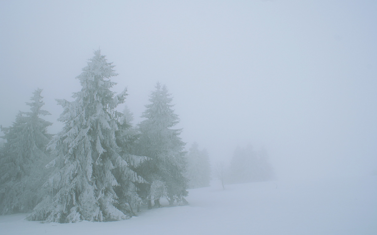 Winter fog - KDE Store