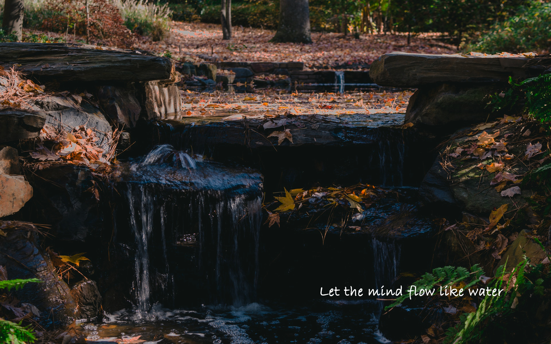 Let The Mind Flow Like Water Pling Com