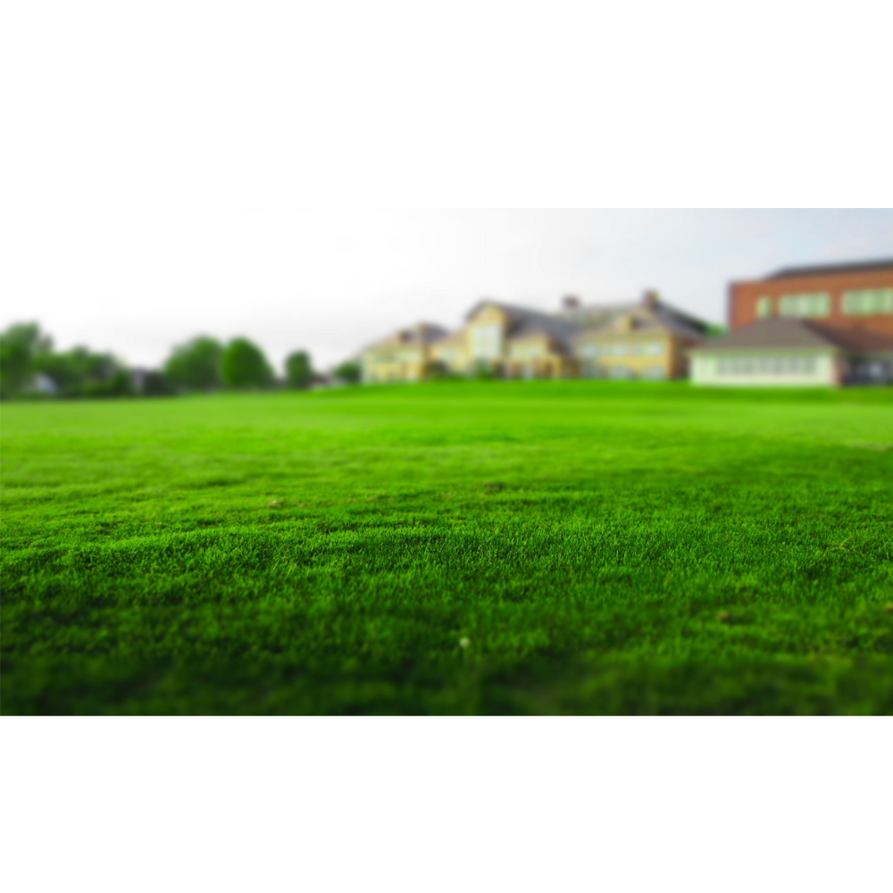 Greenest grass - 4k - KDE Store