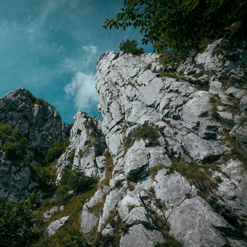 worms eye view photography low iso