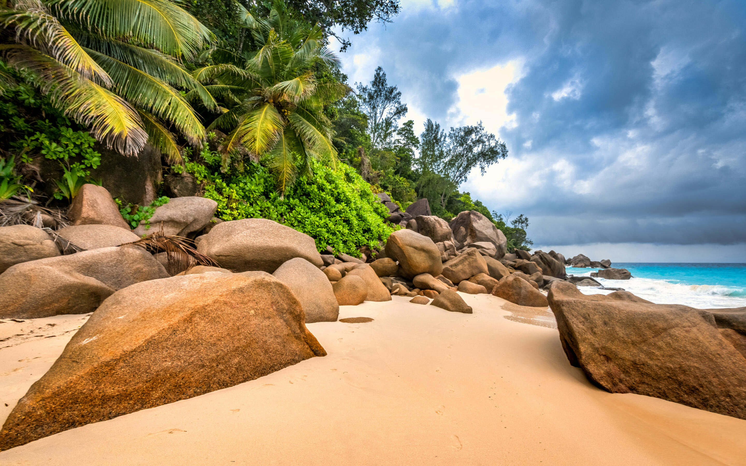 Sandy Beach - KDE Store