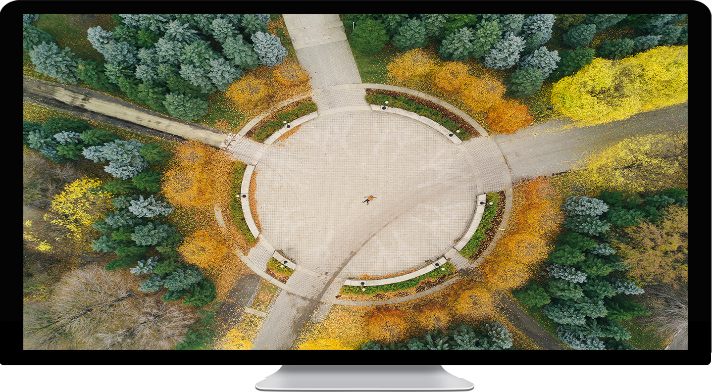 round trees - KDE Store