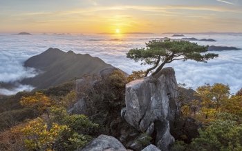 Nature Green Landscape Mountain HD Wallpaper Nature Green Landscape Mountain HD Wallpaper