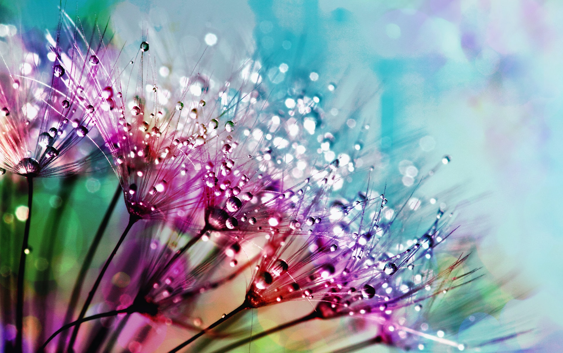 Rain drops - KDE Store