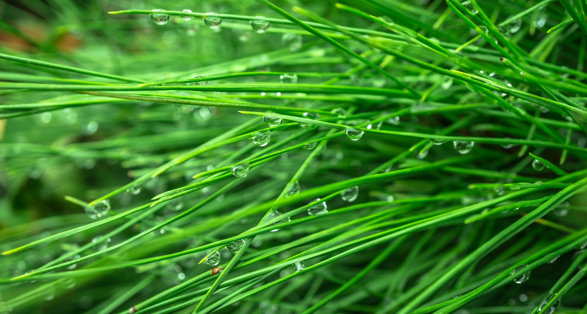 Rain drops - KDE Store