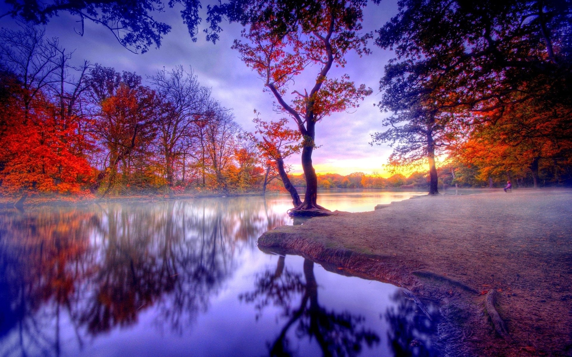 Fall HDR Lake Reflection Tree hd wall - Gnome-look.org