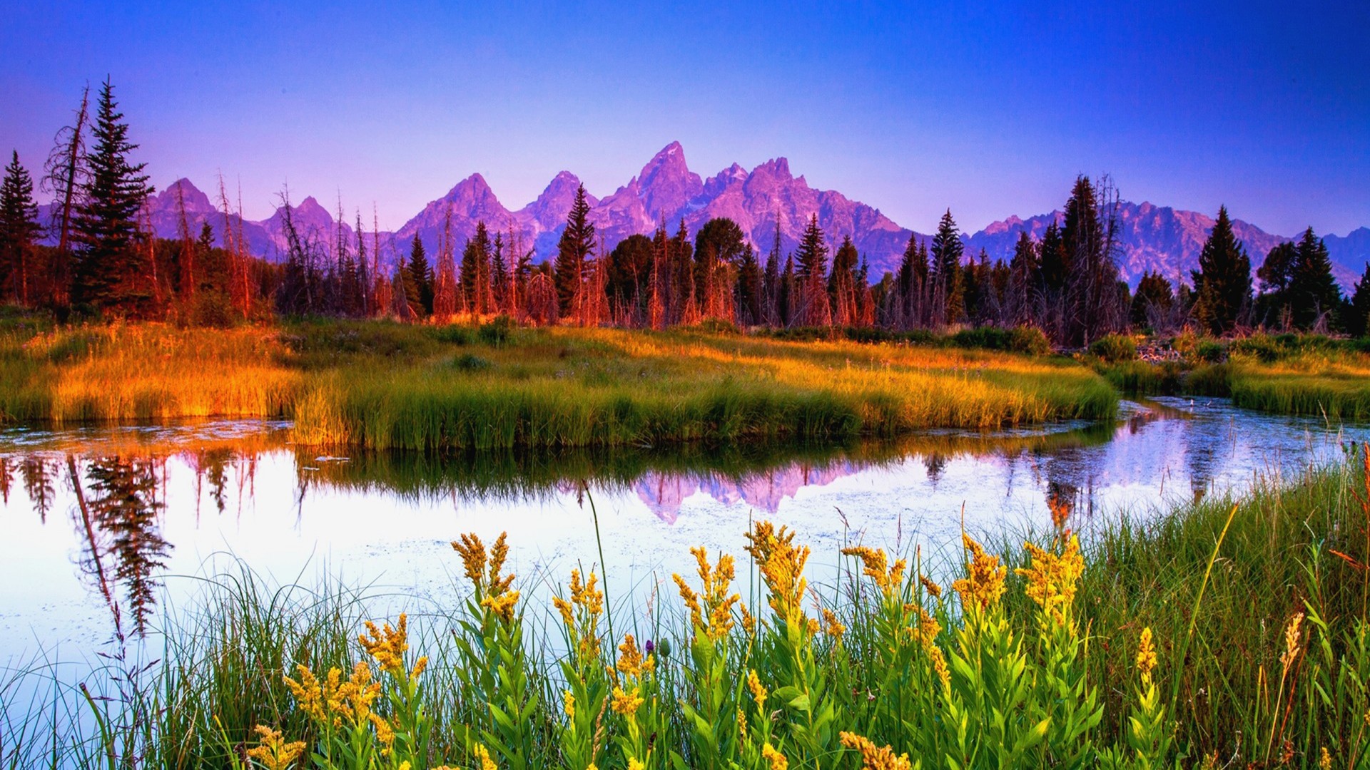 Summer Sunrise At Teton National Park Hd Wallpaper Summer Sunrise At Teton National Park Hd Wallpaper
