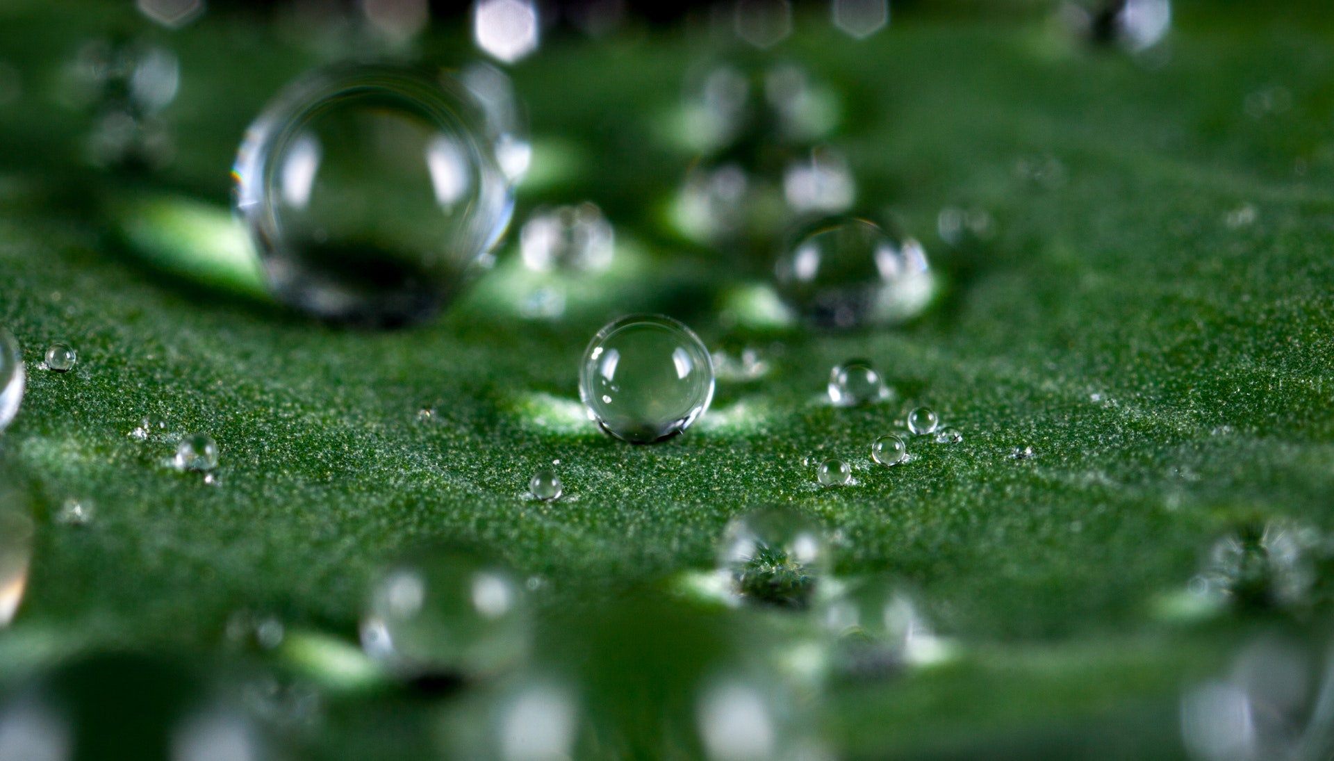 Rain Drops - KDE Store