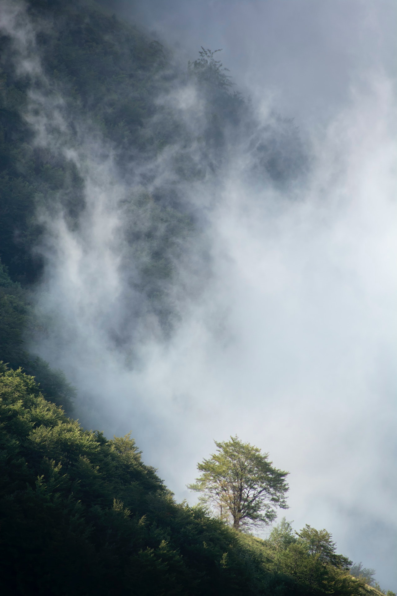 Mist - KDE Store