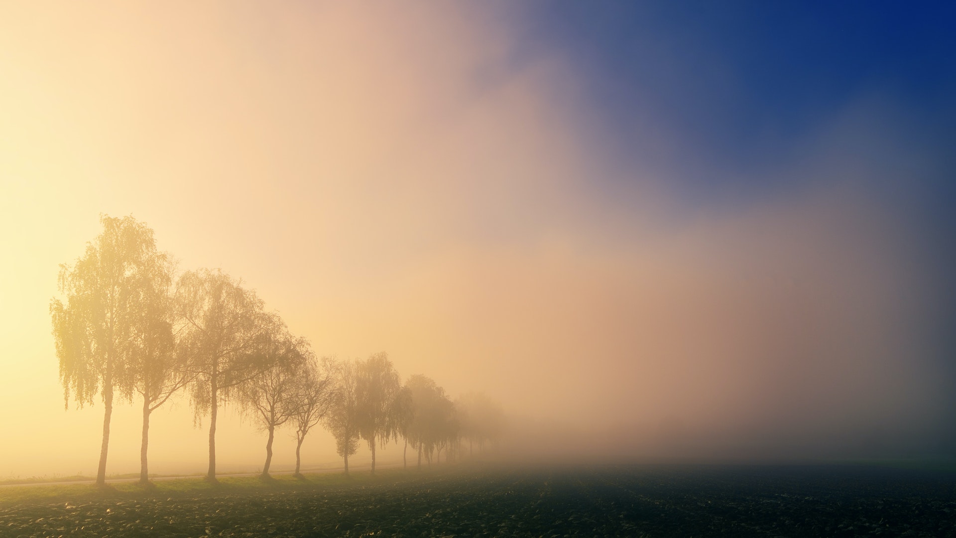 Mist - KDE Store