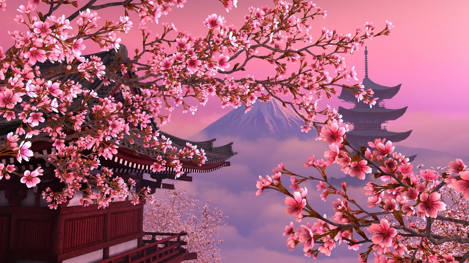 41 Anime Cherry Blossom Wallpaper  WallpaperSafari