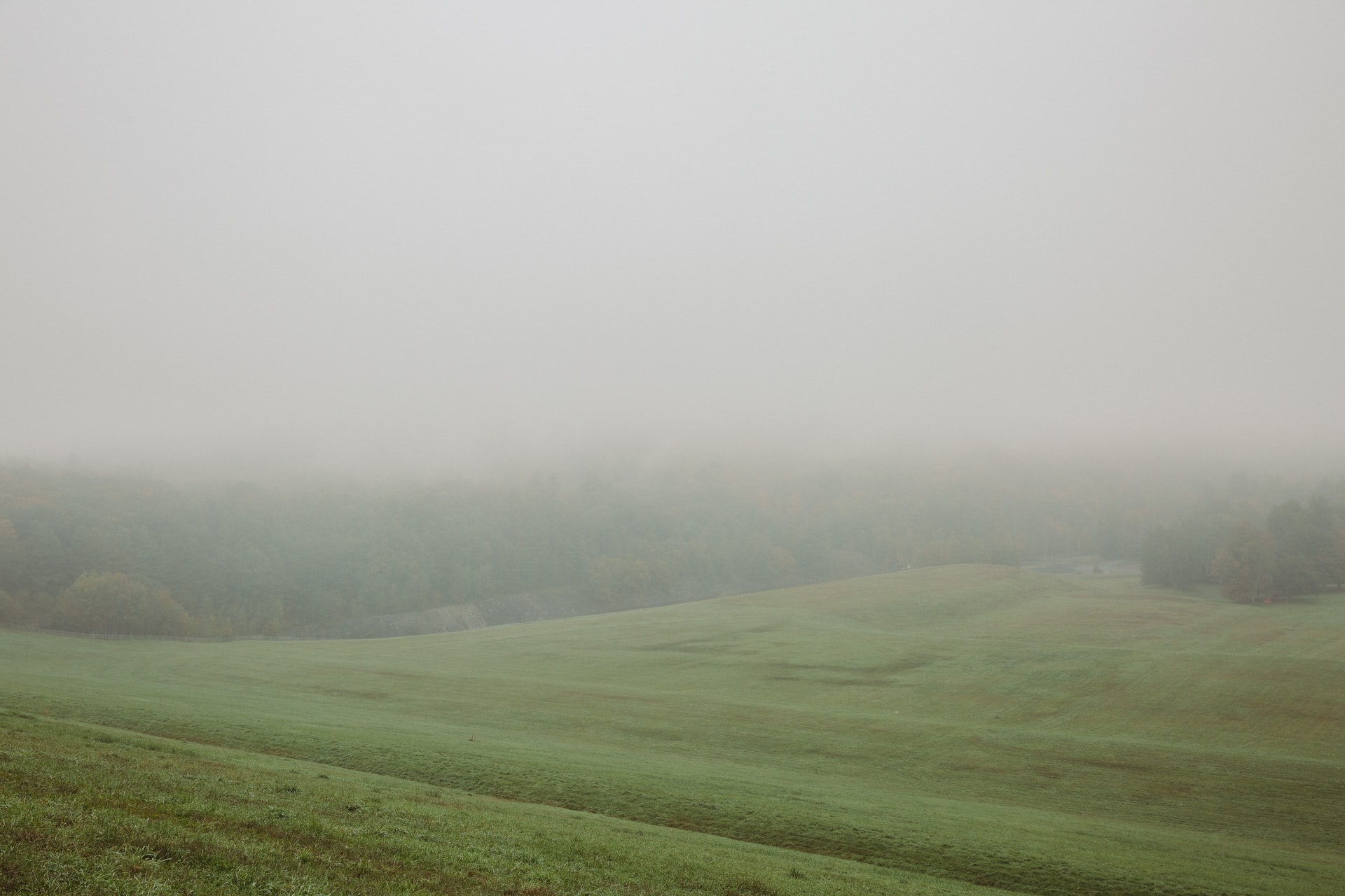 Grassland and Mist - KDE Store