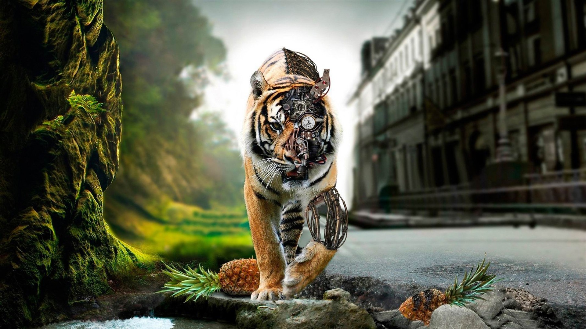 Fantasy Art - KDE Store