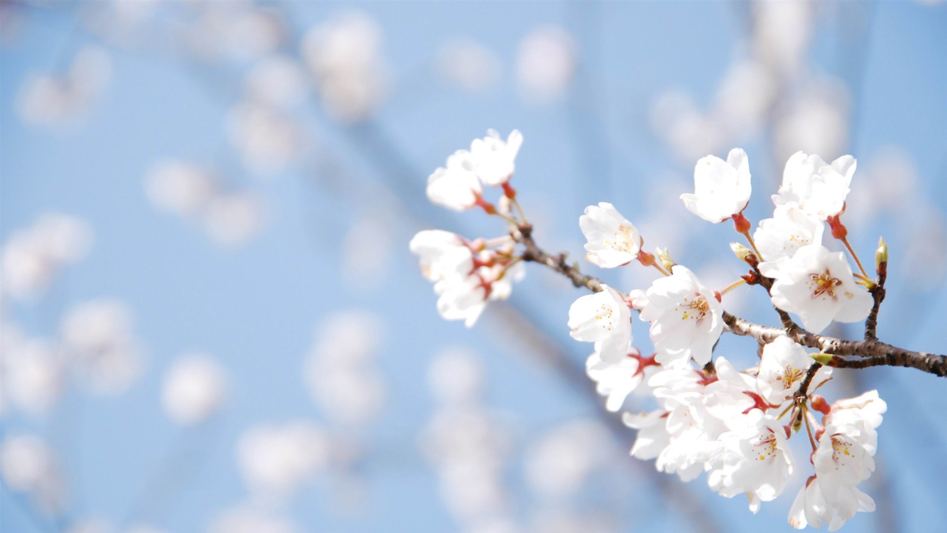 Nature Linux Apps Com