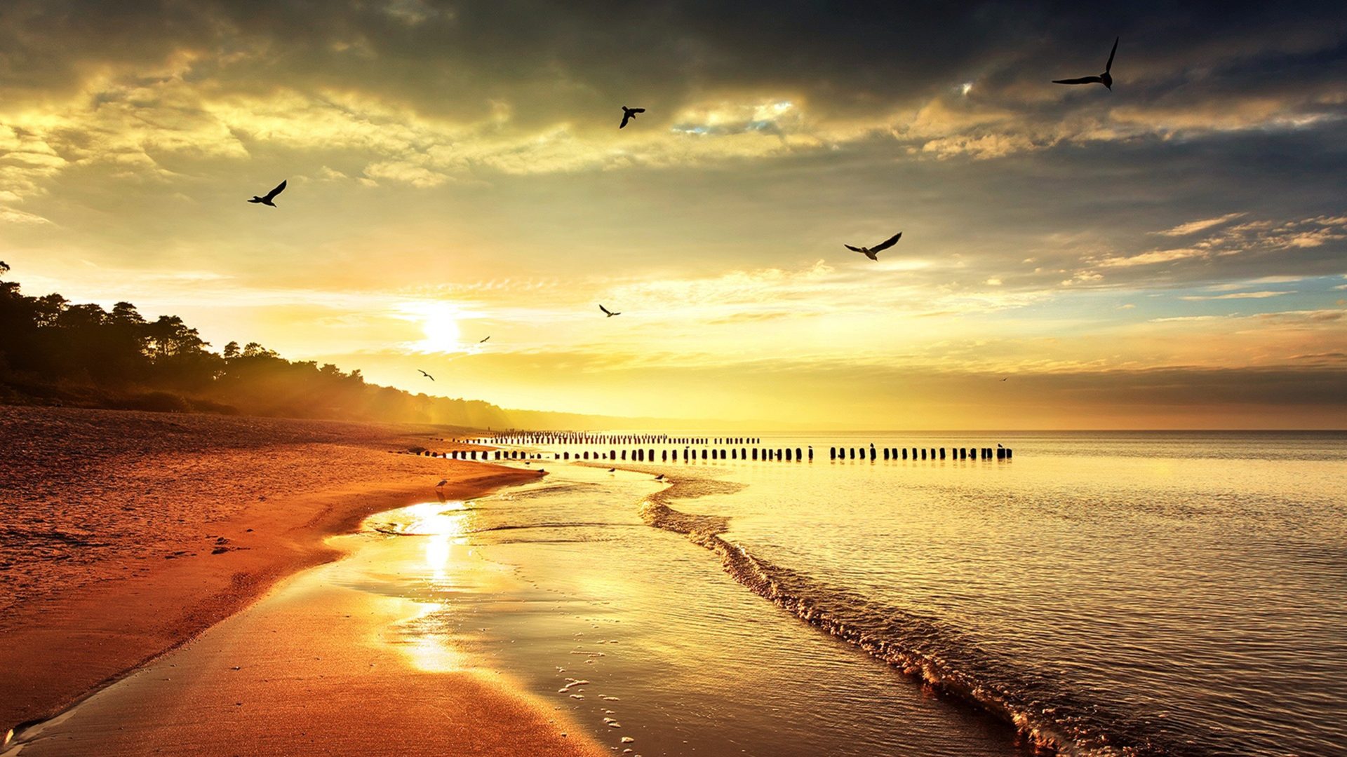 unique nature backgrounds