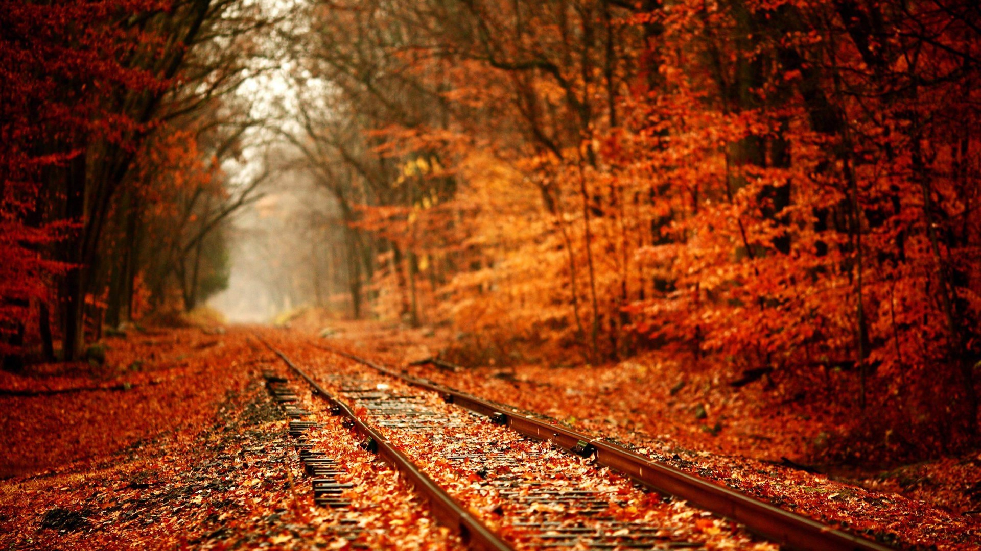 Golden Autumn Pling Com