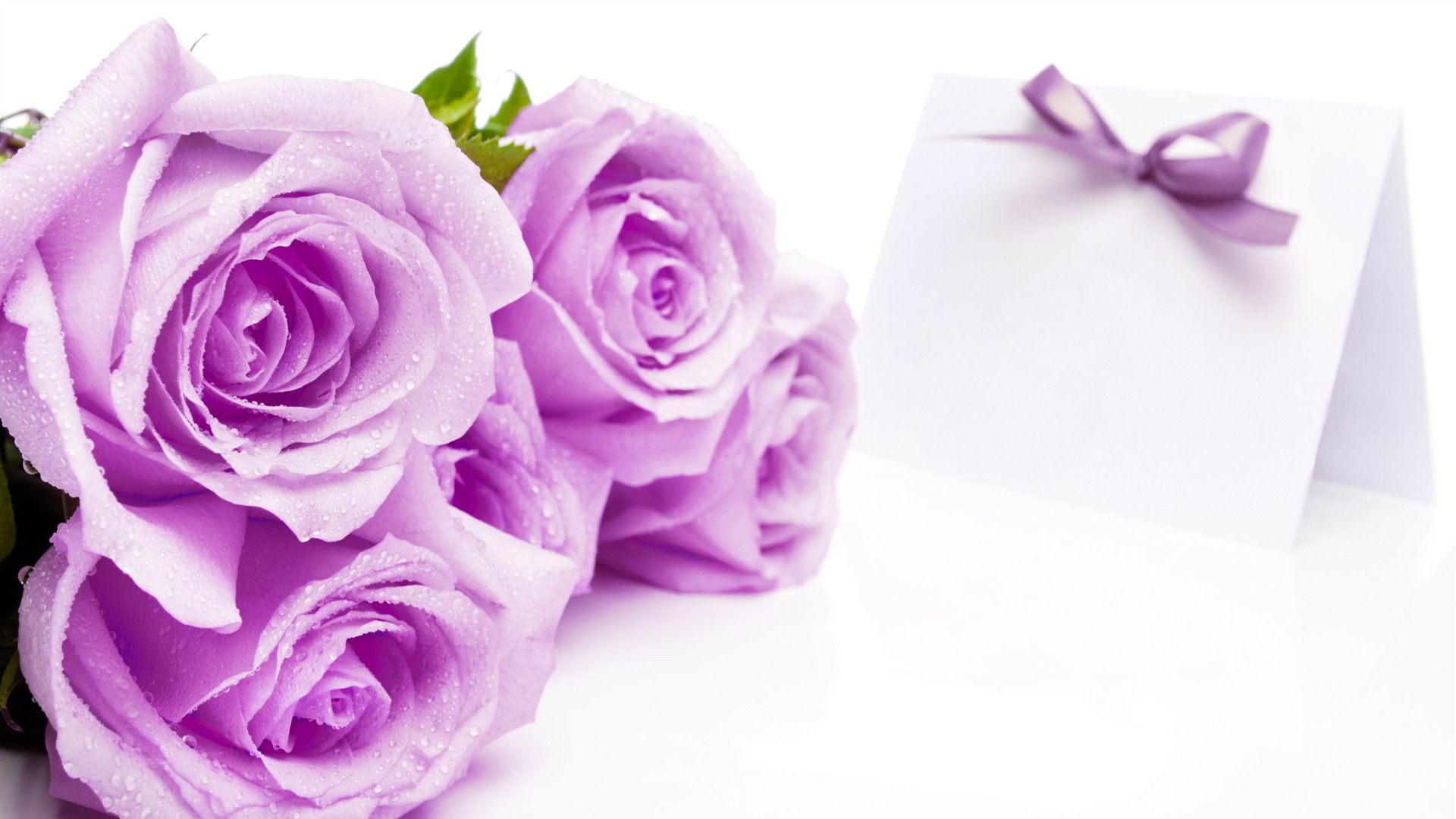 Purple Roses Gnome Look Org