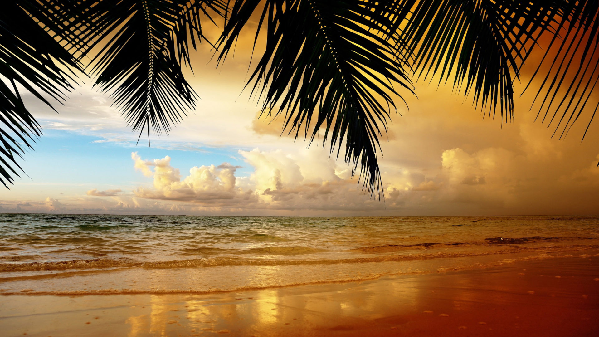 Beach Sea Background Hd Resolution Palm Orange Clouds - /s/Cinnamon