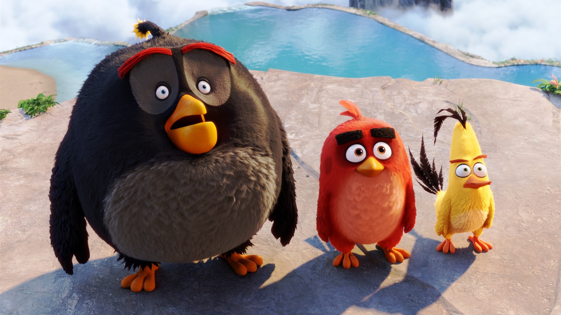 angry birds orange bird wallpaper