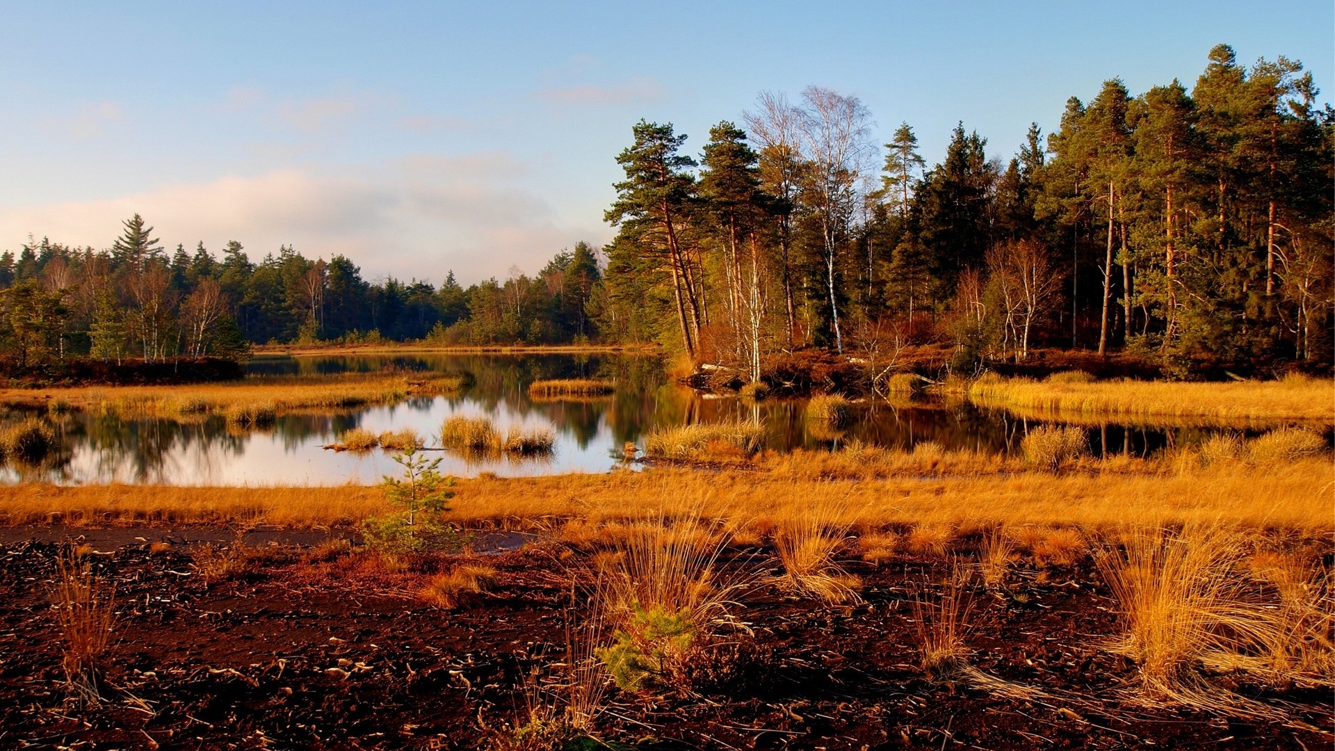 Grass river trees autumn-Nature - KDE Store