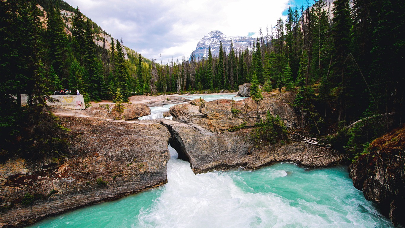 Pristine ecology jungle alpine ice snow river - KDE Store