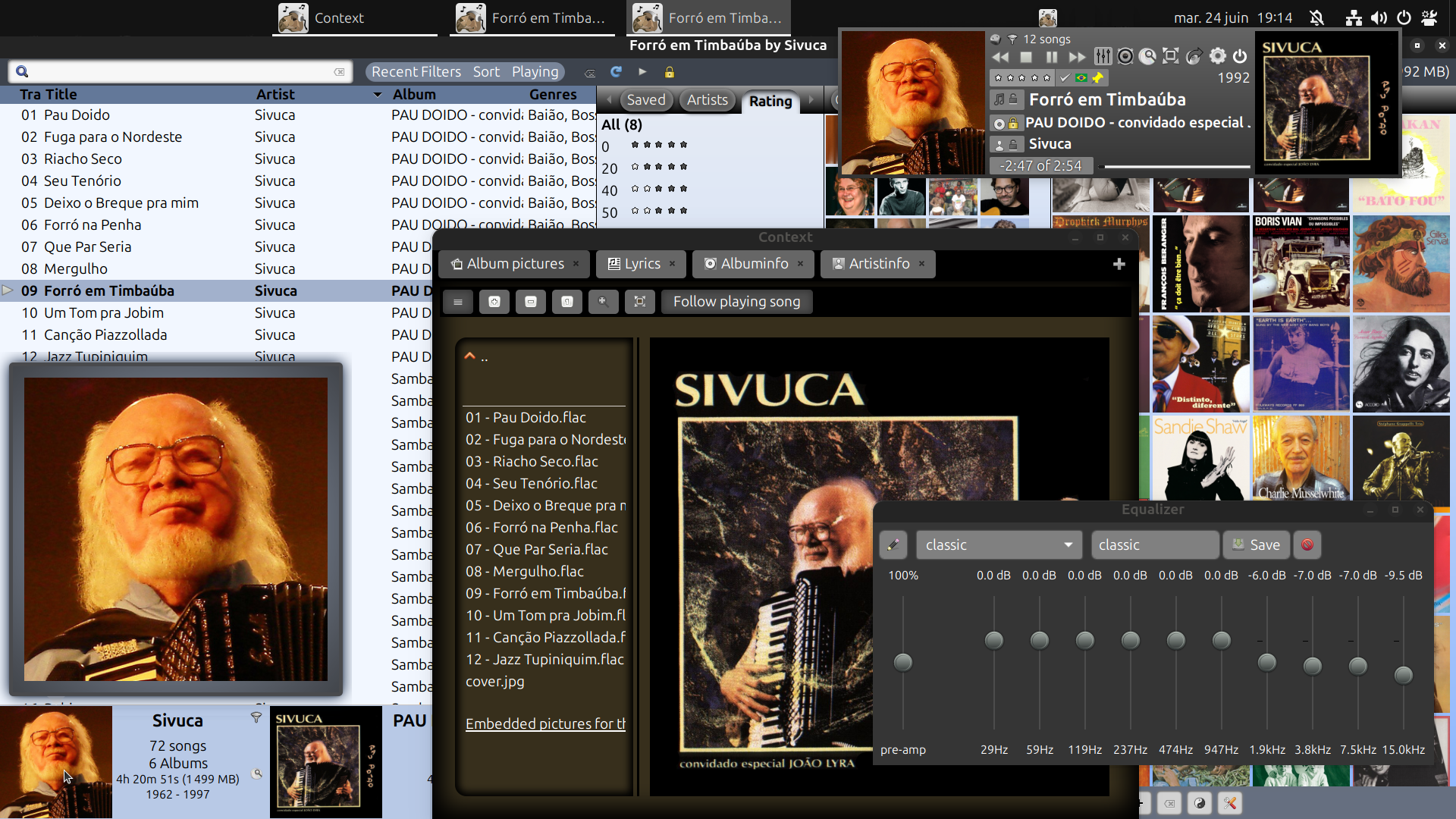 gmusicbrowser-32.png